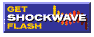 Get Macromedia Flash Player